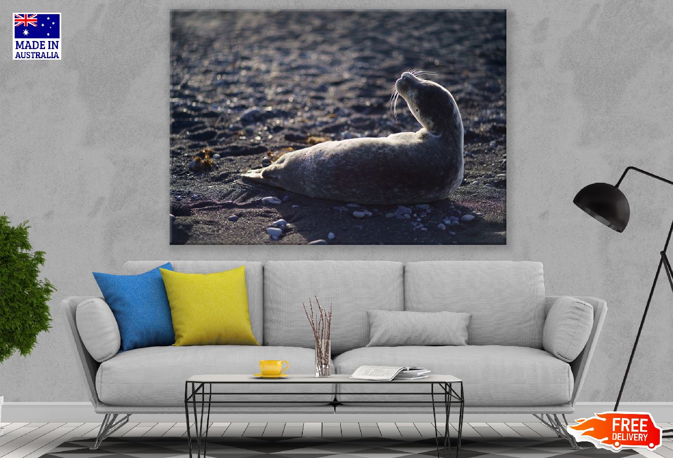Mammal Animal in Beach Photograph Print 100% Australian Made