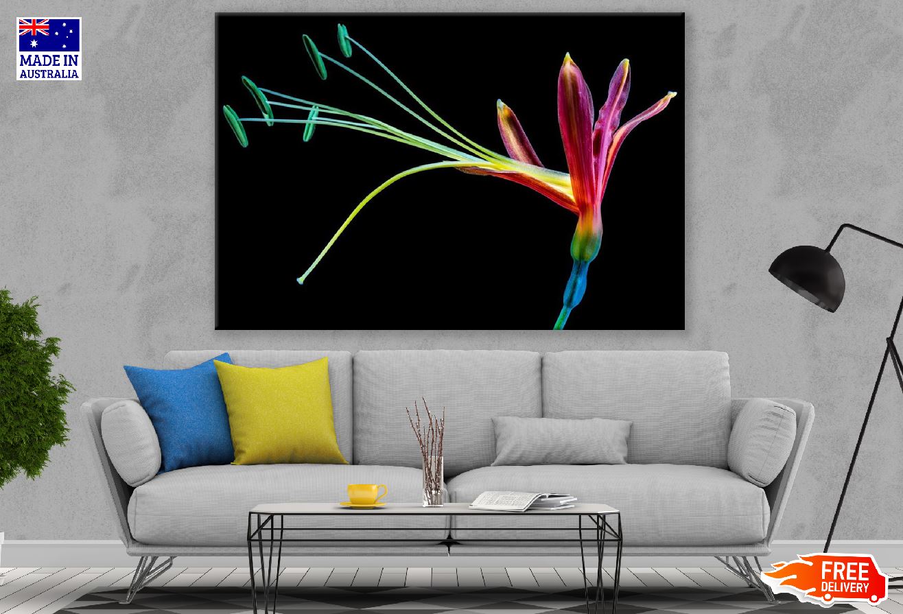 Colorful Paradise Flower Closeup Photograph Print 100% Australian Made