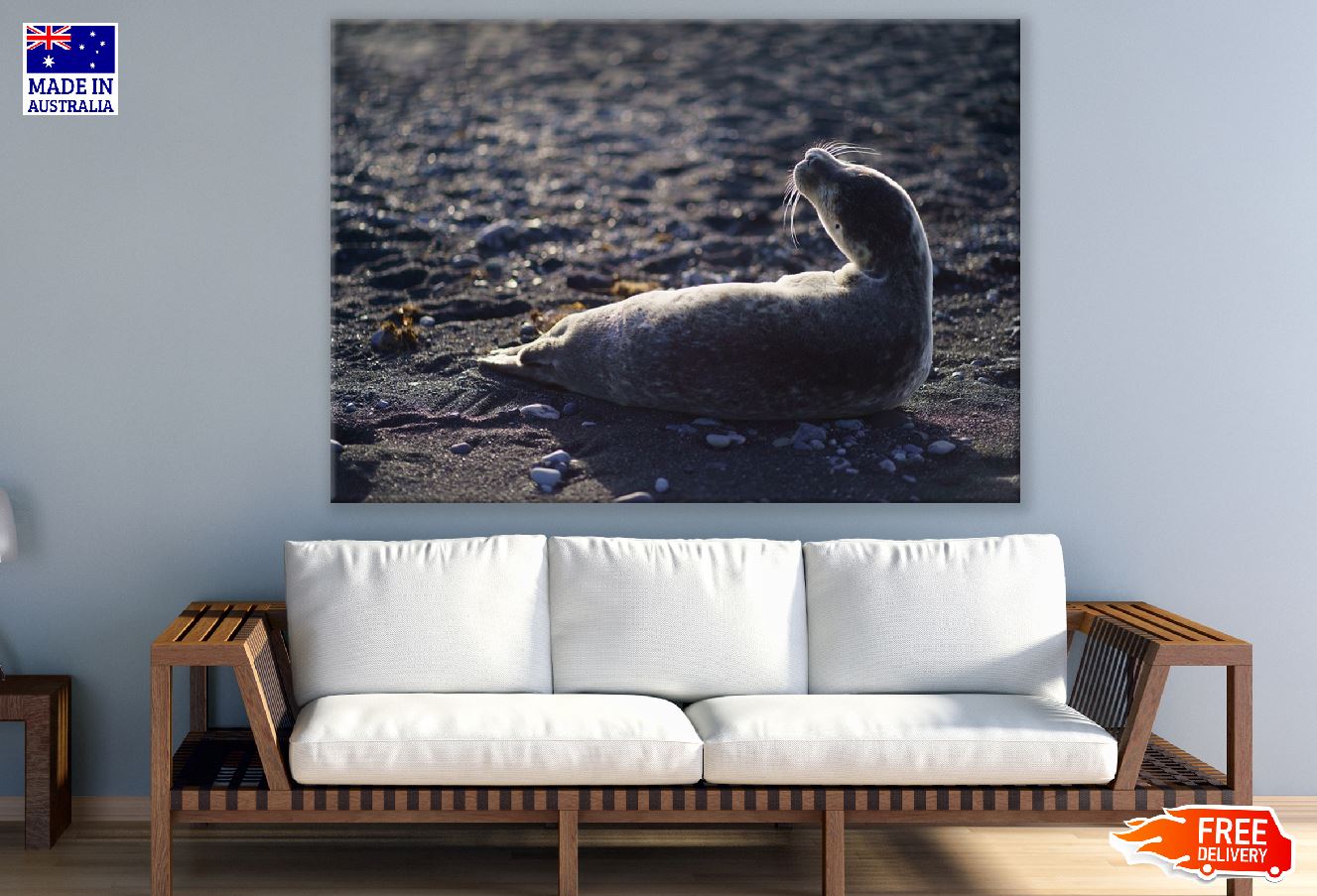 Mammal Animal in Beach Photograph Print 100% Australian Made