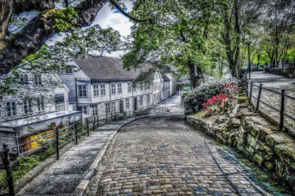 Starvanger Norway Stree View Photograph Print 100% Australian Made
