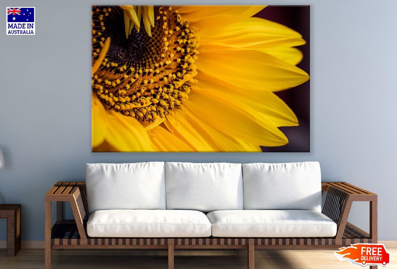 Sunflower Closeup Macro Photograph Print 100% Australian Made