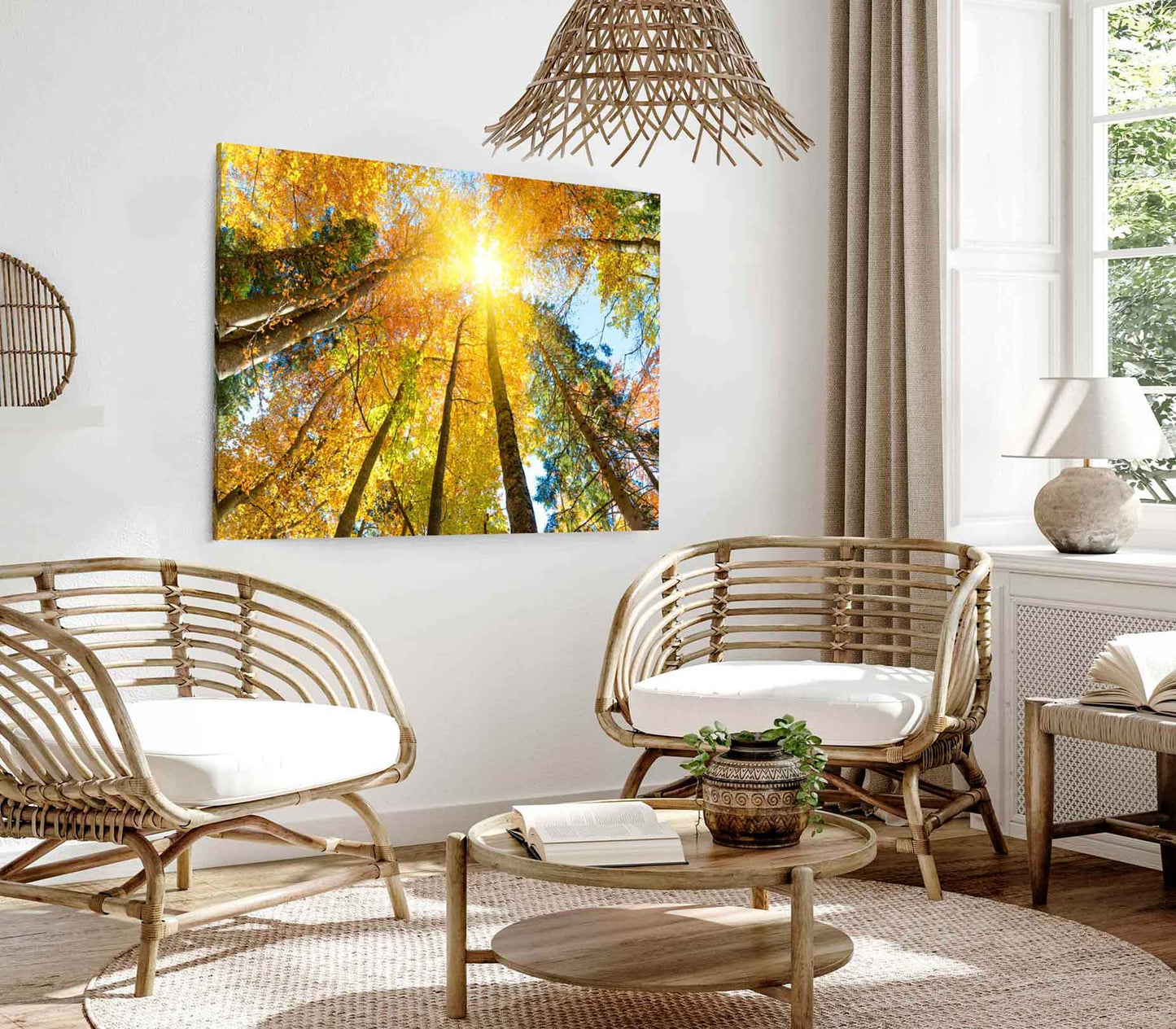 Bella Home Autumn Trees & Leaves in Sunlight Print Canvas Ready to hang