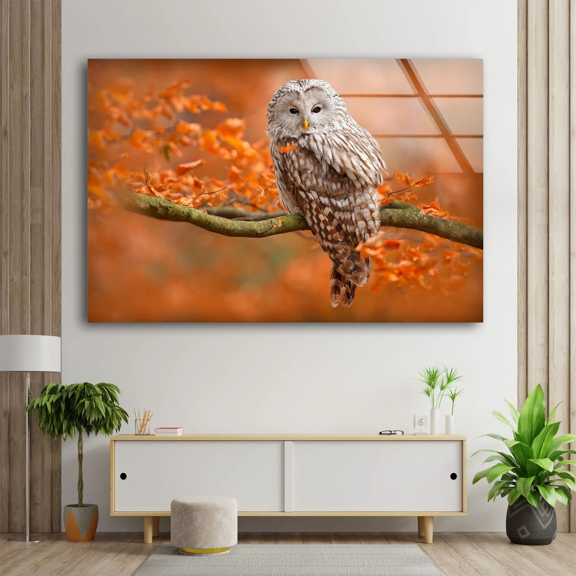 Owl on Autumn Tree Photograph Acrylic Glass Print Tempered Glass Wall Art 100% Made in Australia Ready to Hang