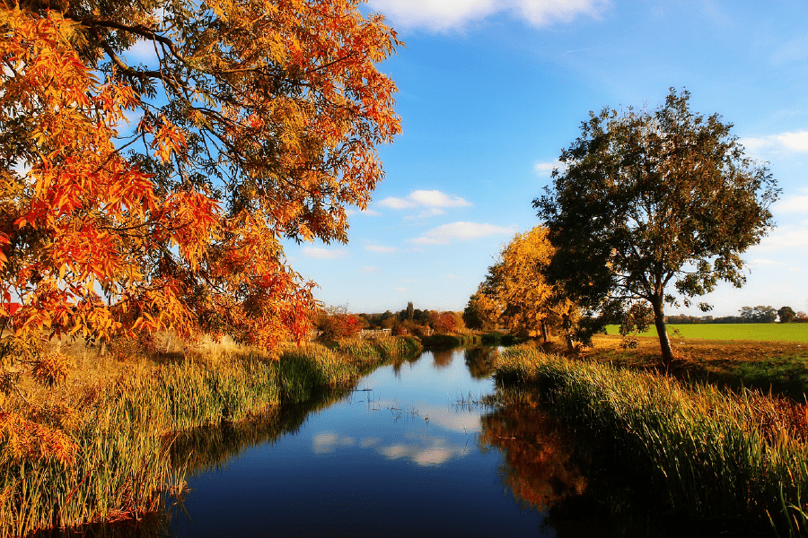 Canal in Field with Autumn Trees Photograph Print 100% Australian Made