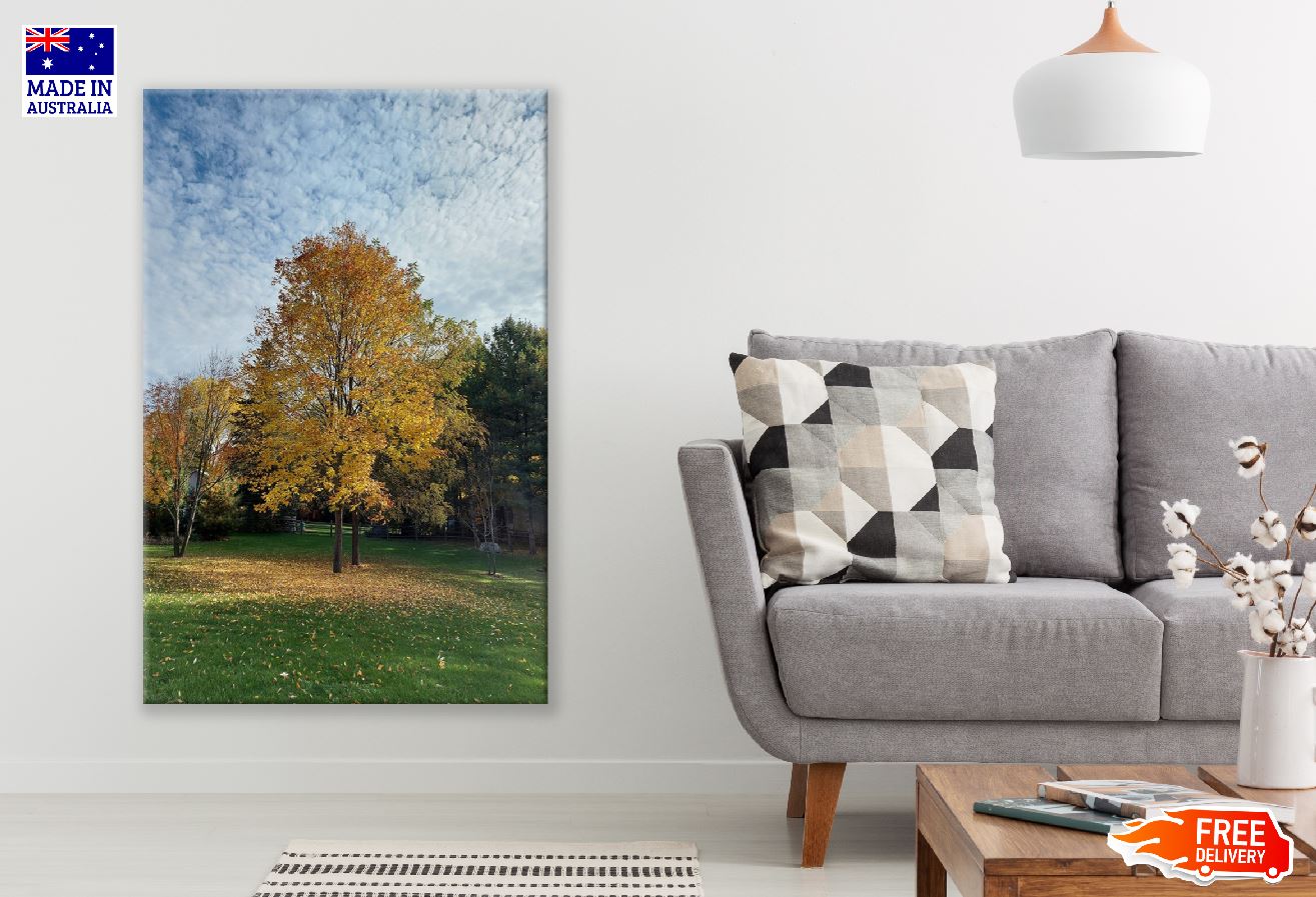 Yellow Autumn Trees in Garden Photograph Print 100% Australian Made