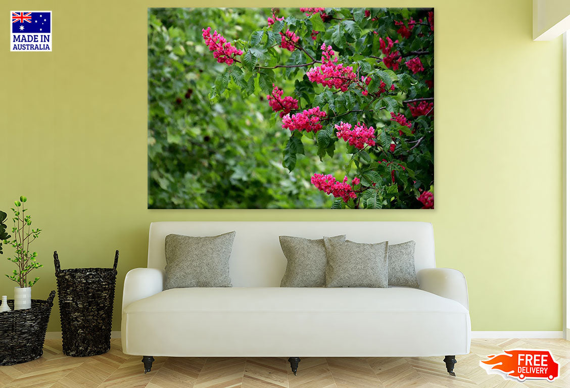 Pink Flower Tree Closeup Photograph Print 100% Australian Made