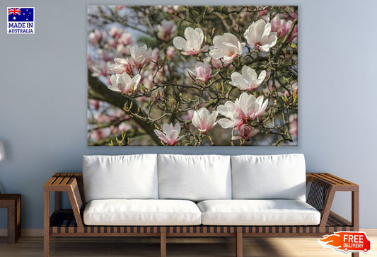 White Magnolia Flower with Branch Photograph Print 100% Australian Made