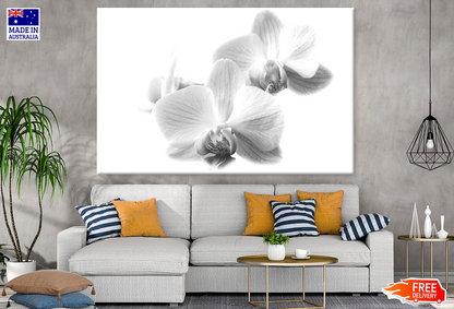 Orchid Flowers B&W Photograph Print 100% Australian Made