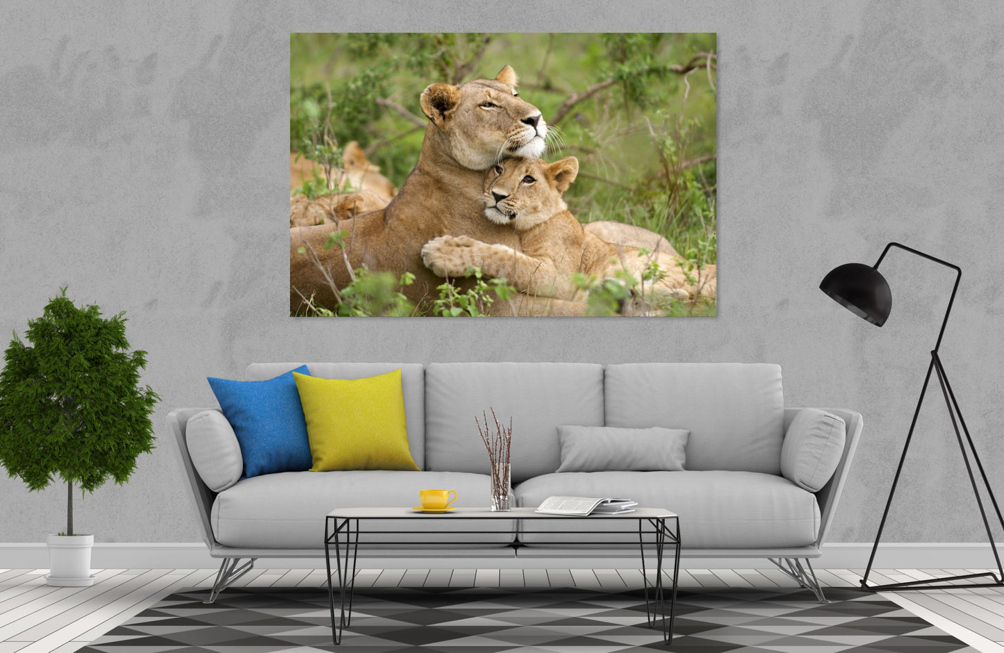 Stunning lion Print 100% Australian Made