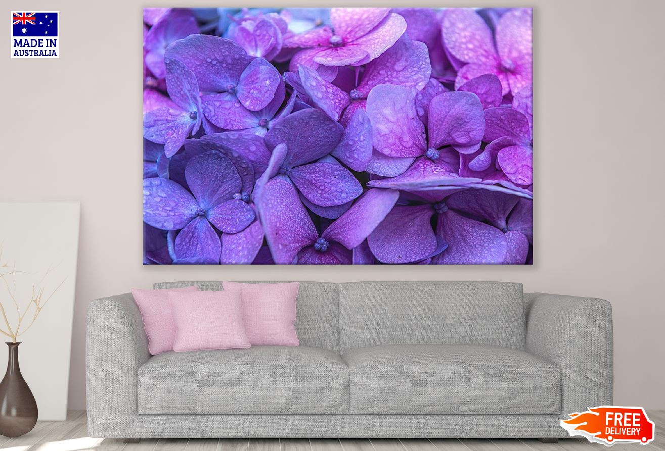 Purple Hydrangea Flowers Closeup Photograph Print 100% Australian Made