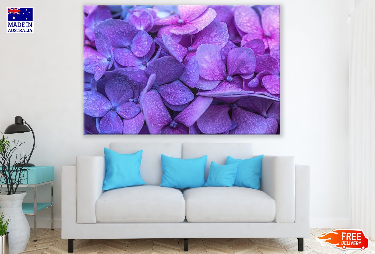Purple Hydrangea Flowers Closeup Photograph Print 100% Australian Made