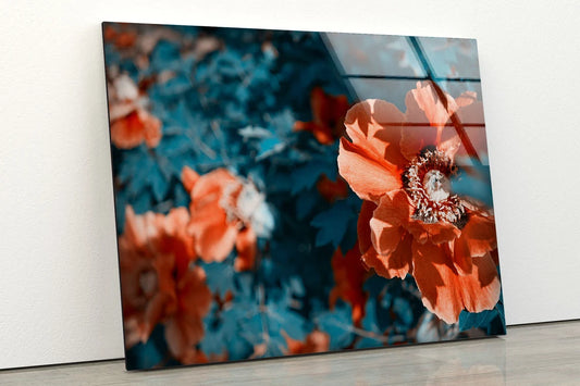 Red Flowers Tree Photograph Acrylic Glass Print Tempered Glass Wall Art 100% Made in Australia Ready to Hang