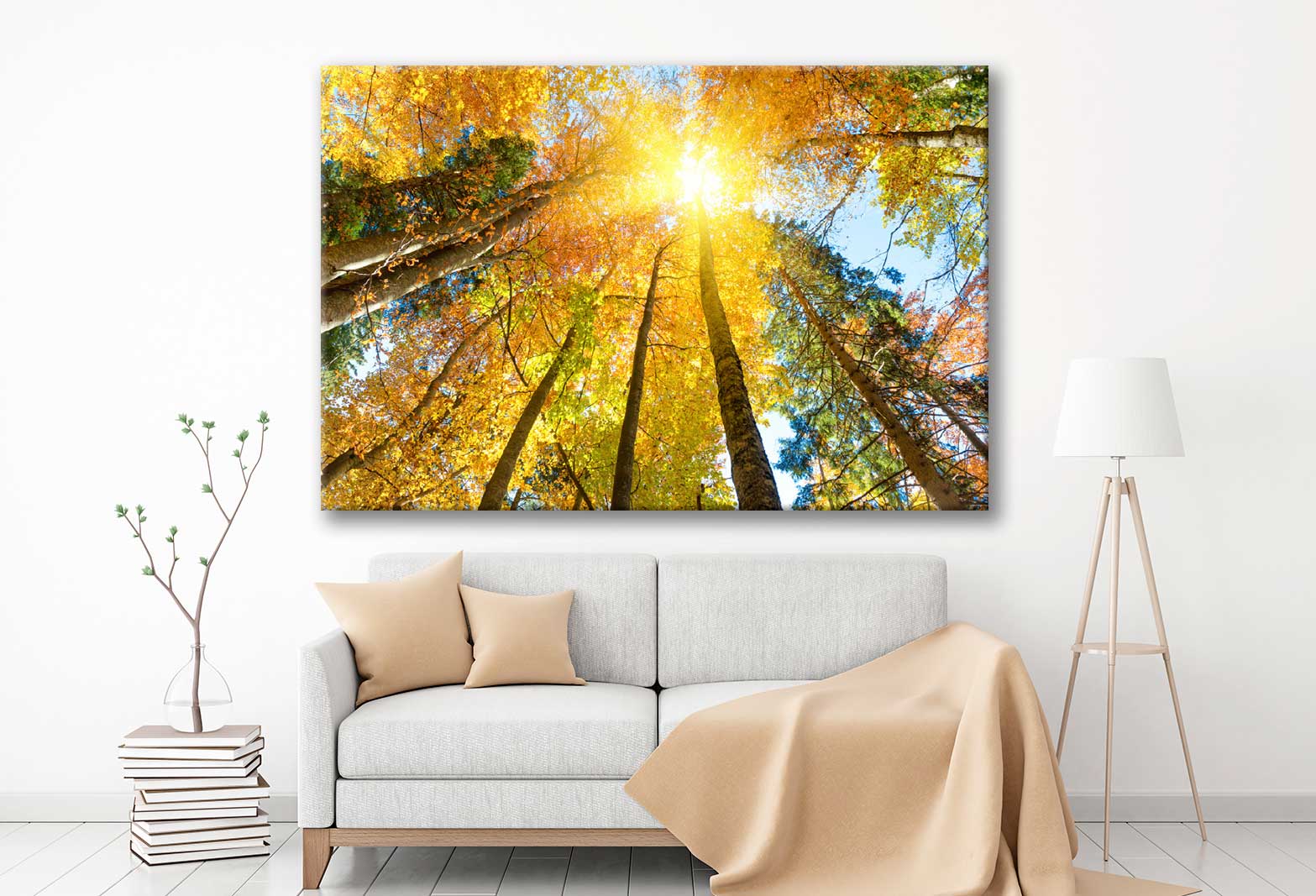 Bella Home Autumn Trees & Leaves in Sunlight Print Canvas Ready to hang