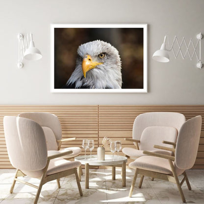 Eagle Portrait Closeup Photograph Home Decor Premium Quality Poster Print Choose Your Sizes