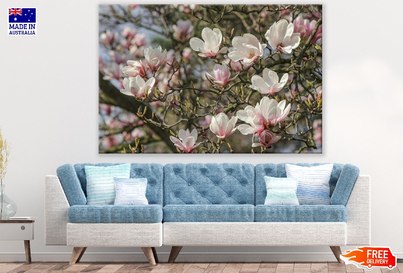 White Magnolia Flower with Branch Photograph Print 100% Australian Made