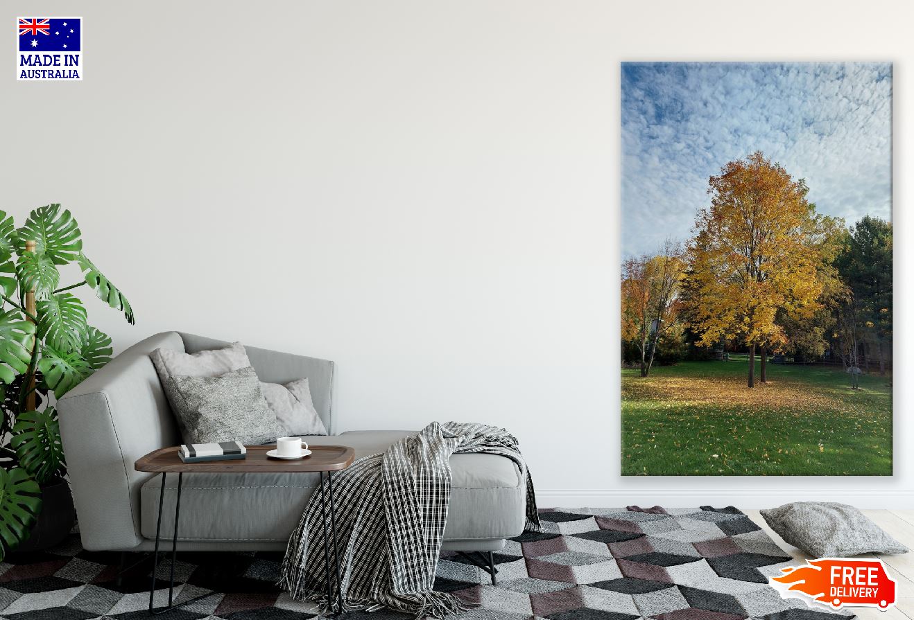 Yellow Autumn Trees in Garden Photograph Print 100% Australian Made