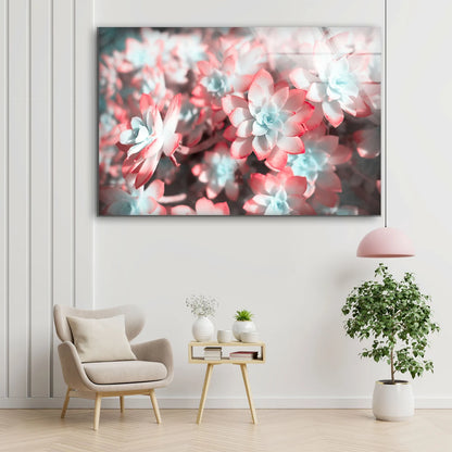 Red & White Flowers Photograph Acrylic Glass Print Tempered Glass Wall Art 100% Made in Australia Ready to Hang