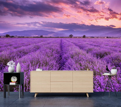 Wallpaper Murals Peel and Stick Removable Lavender Field at Sunset Photograph High Quality