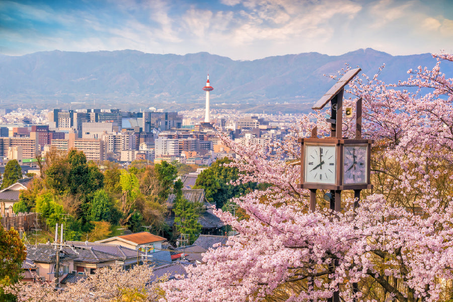 Kyoto City Skyline & Sakura Flowers View Photograph Print 100% Australian Made