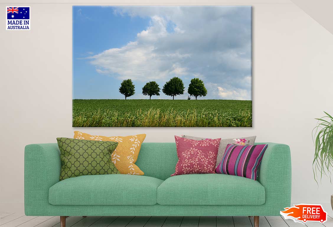 Trees on Hill Photograph Print 100% Australian Made