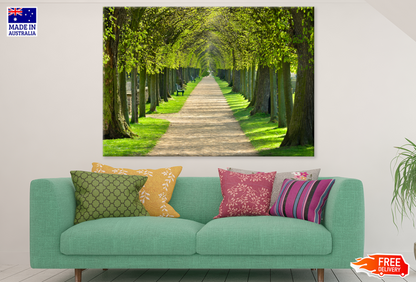 Trees & Walking Road Photograph Print 100% Australian Made