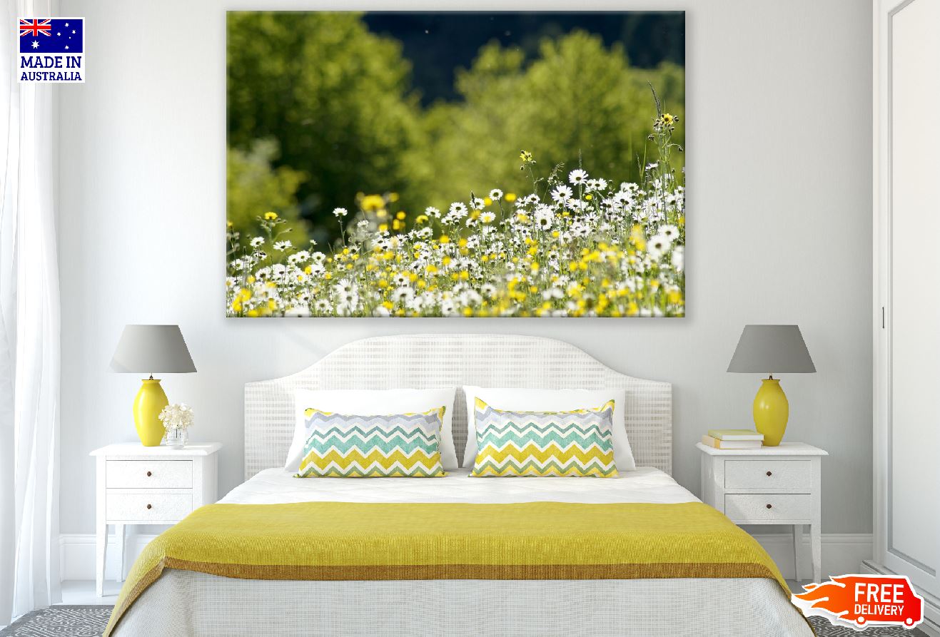 Chamomile Flowers Plant Photograph Print 100% Australian Made