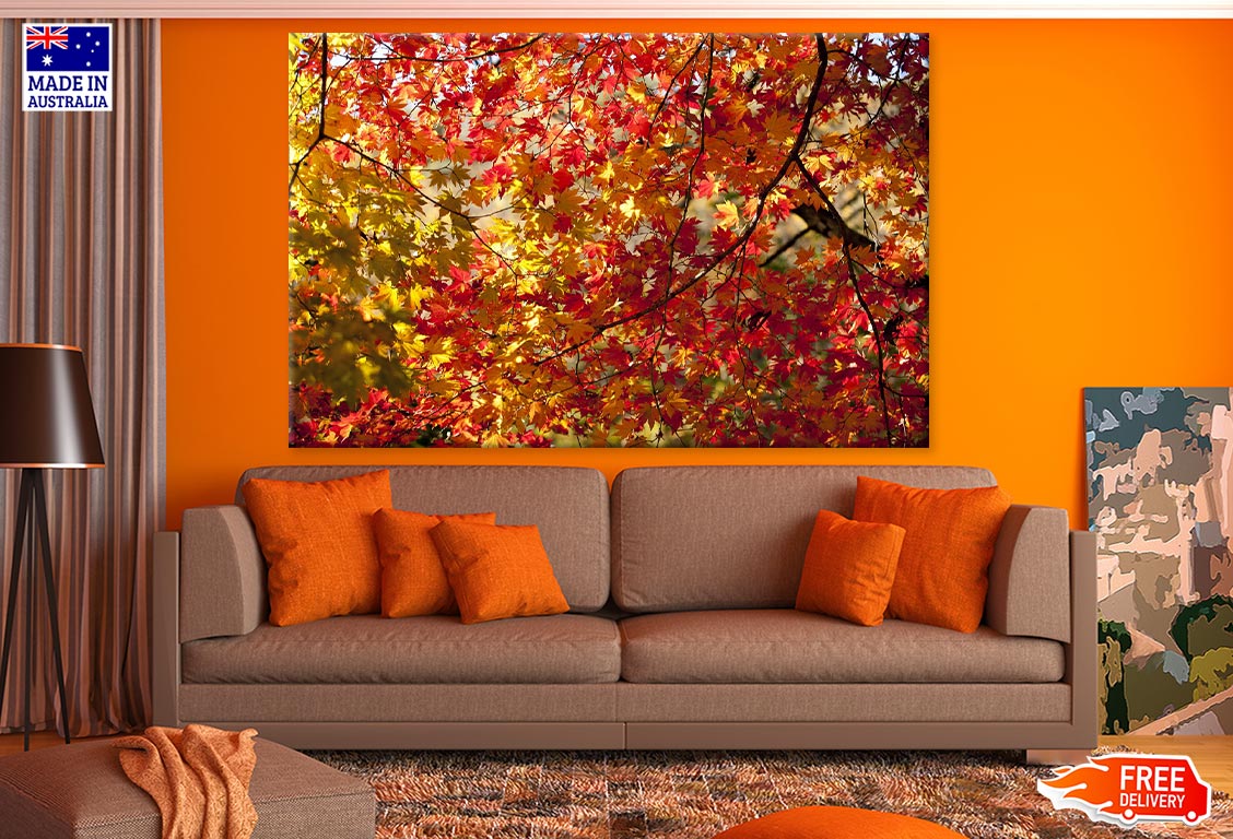 Maple Leaves Closeup Photograph Print 100% Australian Made