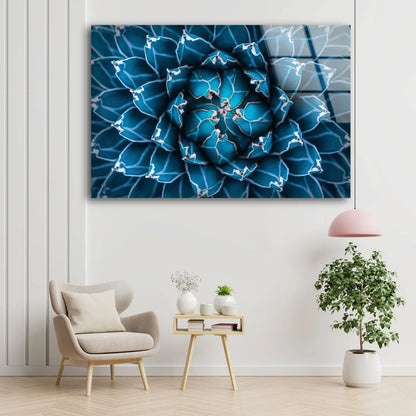 Blue Flower Macro Photograph Acrylic Glass Print Tempered Glass Wall Art 100% Made in Australia Ready to Hang