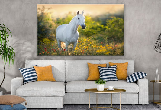 White horse in a meadow Sunset Print 100% Australian Made