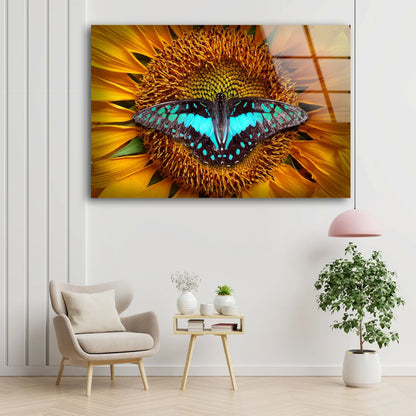 Butterfly on Sunflower Photograph Acrylic Glass Print Tempered Glass Wall Art 100% Made in Australia Ready to Hang