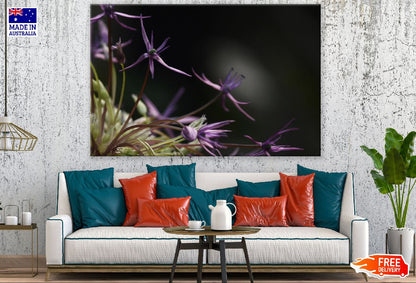 Purple Spider Lilies Photograph Print 100% Australian Made