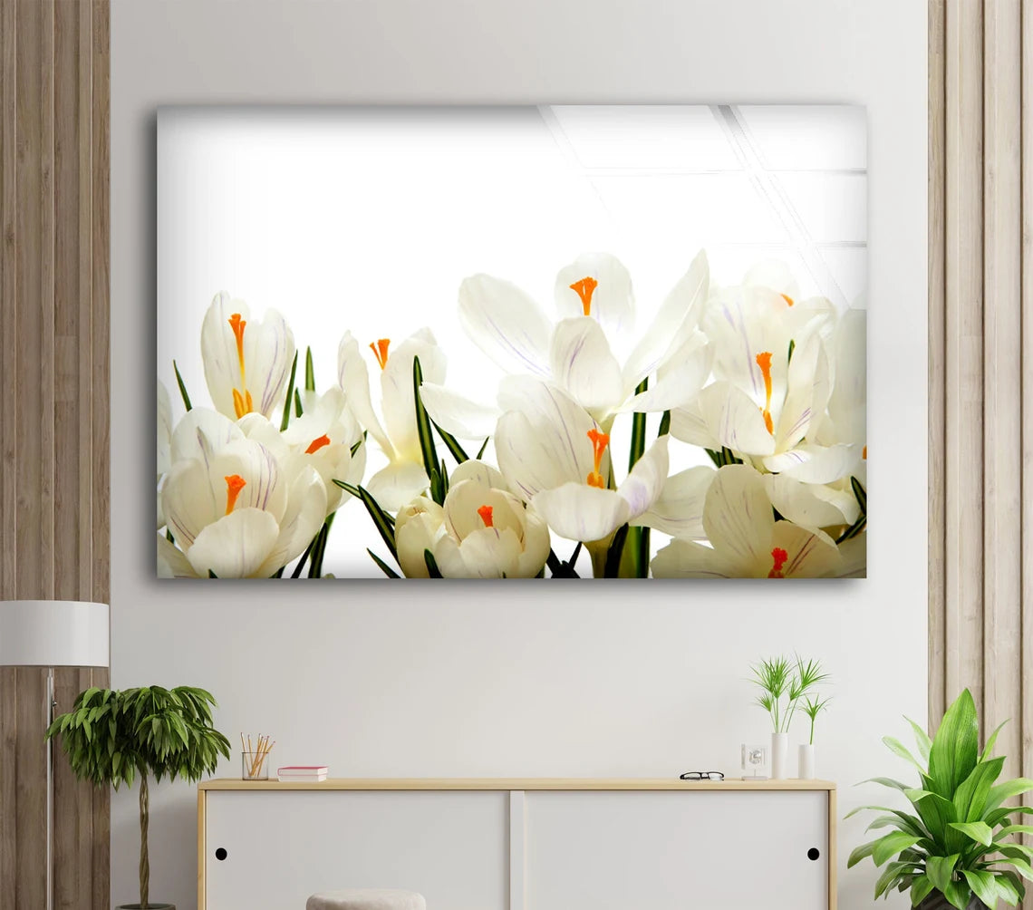 White Flowers Photograph Acrylic Glass Print Tempered Glass Wall Art 100% Made in Australia Ready to Hang