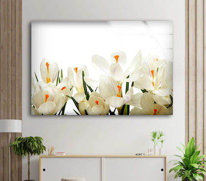 White Flowers Photograph Acrylic Glass Print Tempered Glass Wall Art 100% Made in Australia Ready to Hang
