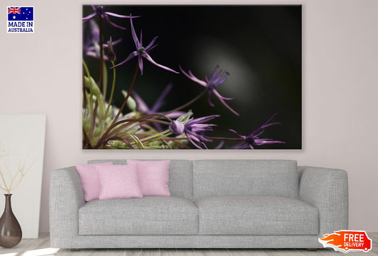 Purple Spider Lilies Photograph Print 100% Australian Made