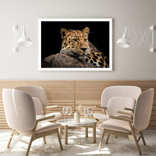 Leopard Closeup Photograph Home Decor Premium Quality Poster Print Choose Your Sizes