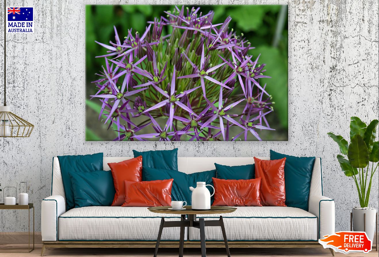 Purple Sphere Flower Photograph Print 100% Australian Made