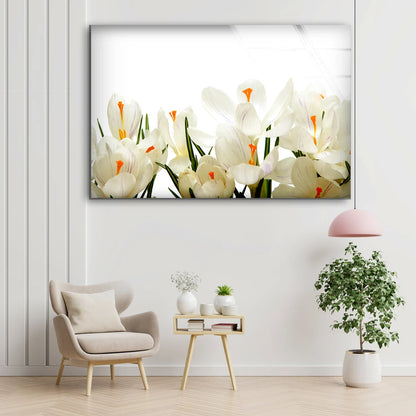 White Flowers Photograph Acrylic Glass Print Tempered Glass Wall Art 100% Made in Australia Ready to Hang