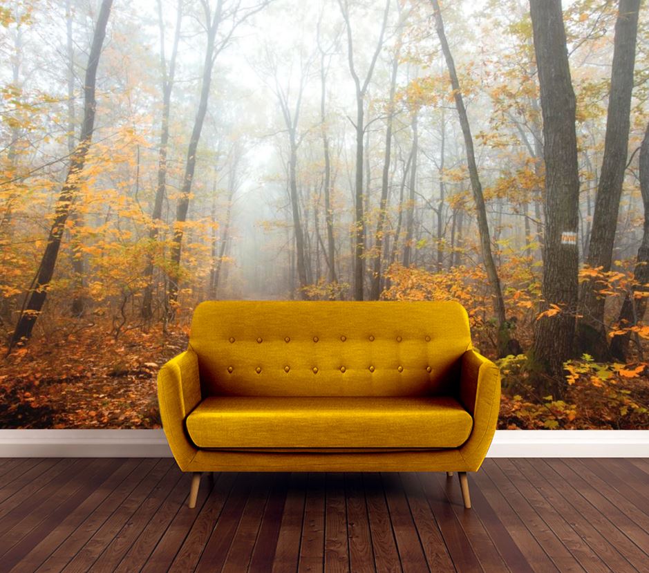 Wallpaper Murals Peel and Stick Removable Autumn Forest High Quality