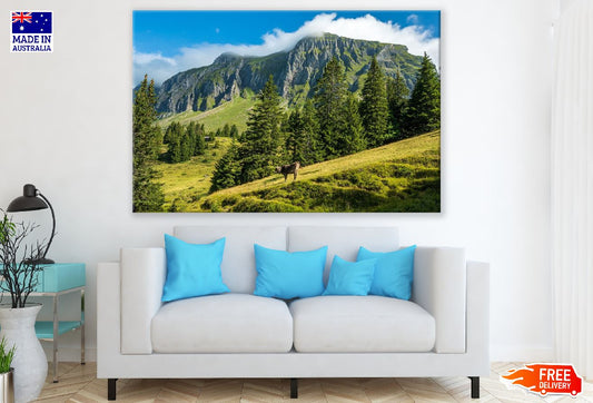 Trees in Mountains with Clouds Photograph Print 100% Australian Made