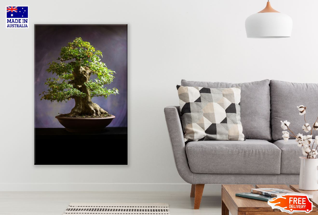 Bonsai Tree View Photograph Print 100% Australian Made