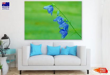 Blue BellFlowers Closeup Photograph Print 100% Australian Made