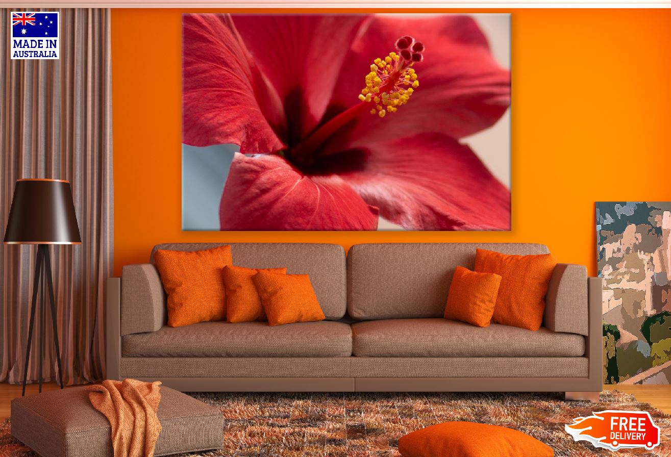 Red Hibiscus Flower Closeup Photograph Print 100% Australian Made