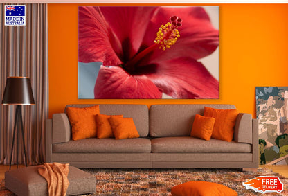 Red Hibiscus Flower Closeup Photograph Print 100% Australian Made