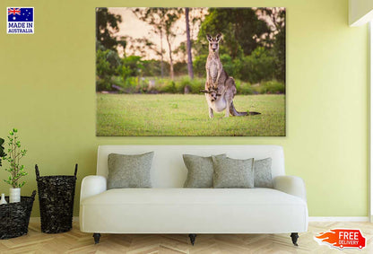 Kangaroo Mom & Baby Photograph Print 100% Australian Made