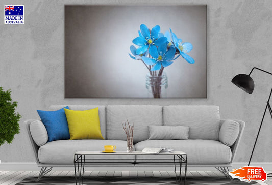 Blue Liverflowers Closeup Photograph Print 100% Australian Made