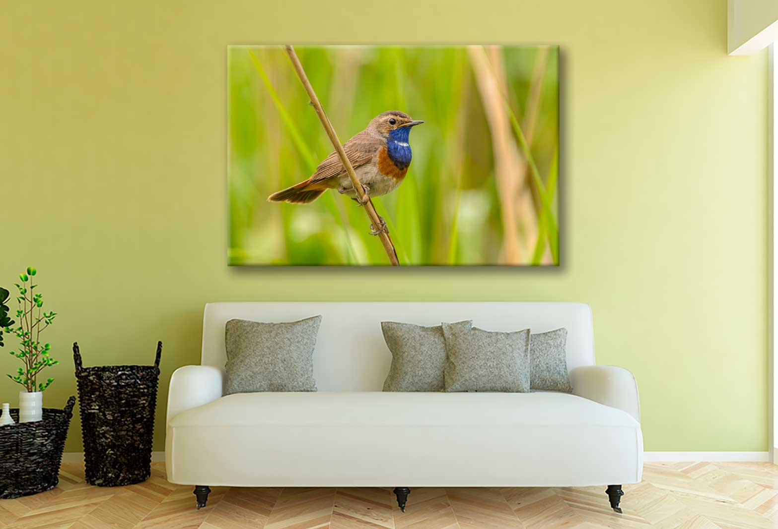 Bella Home Male Bluethroat Perched on Reed Print Canvas Ready to hang