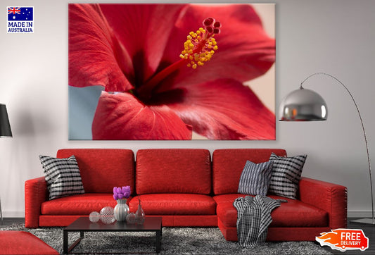 Red Hibiscus Flower Closeup Photograph Print 100% Australian Made