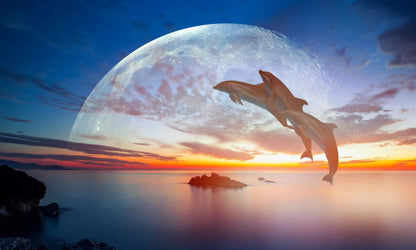 Dolphins at Beach Photograph Home Decor Premium Quality Poster Print Choose Your Sizes