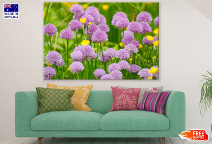 Purple Chrysanthemum Flowers Closeup Photograph Print 100% Australian Made
