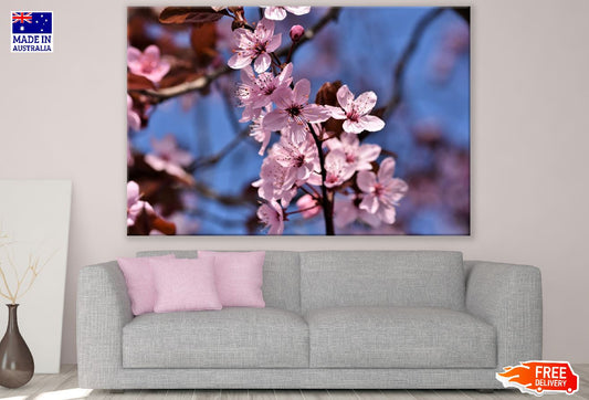 Ornamental Cherry Flowers Closeup Photograph Print 100% Australian Made